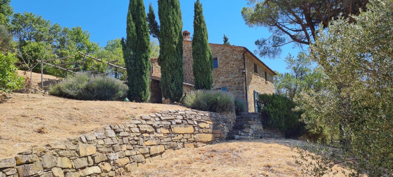 Coppa Di Sopra - Beautiful Villa With Superb View Santa Cristina  Zewnętrze zdjęcie