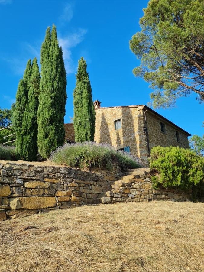 Coppa Di Sopra - Beautiful Villa With Superb View Santa Cristina  Zewnętrze zdjęcie